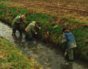 Archeologische onderzoek in de Hoeksche Waard